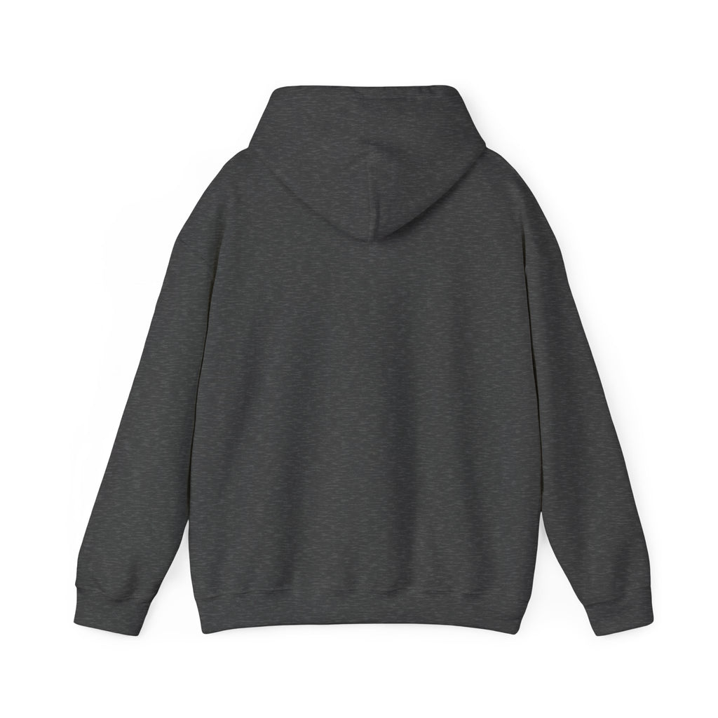 Kinitro Sword Hoodie