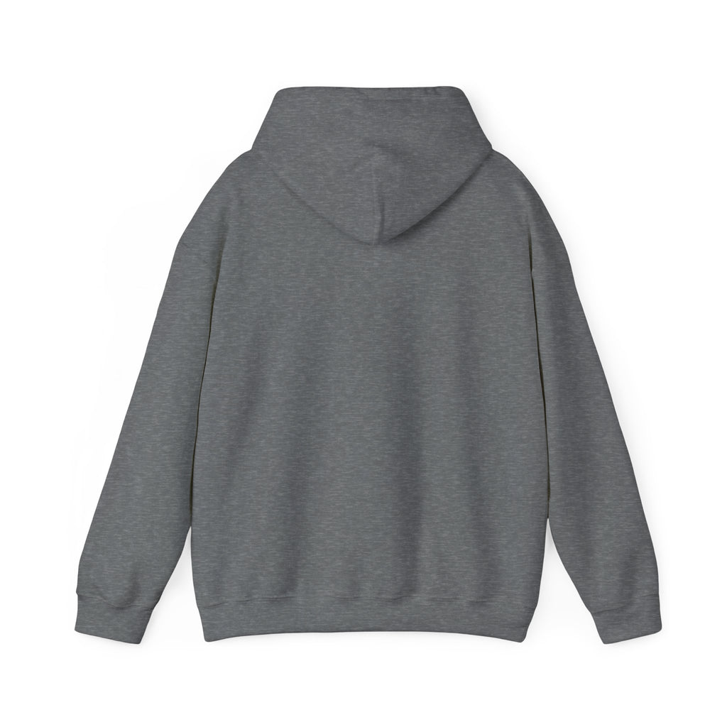 Kinitro Sword Hoodie