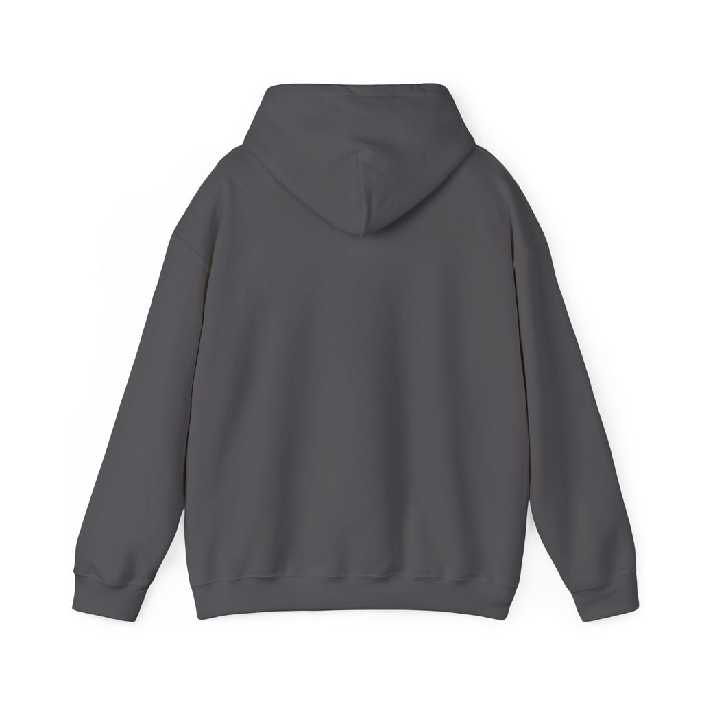 Kinitro Sword Hoodie