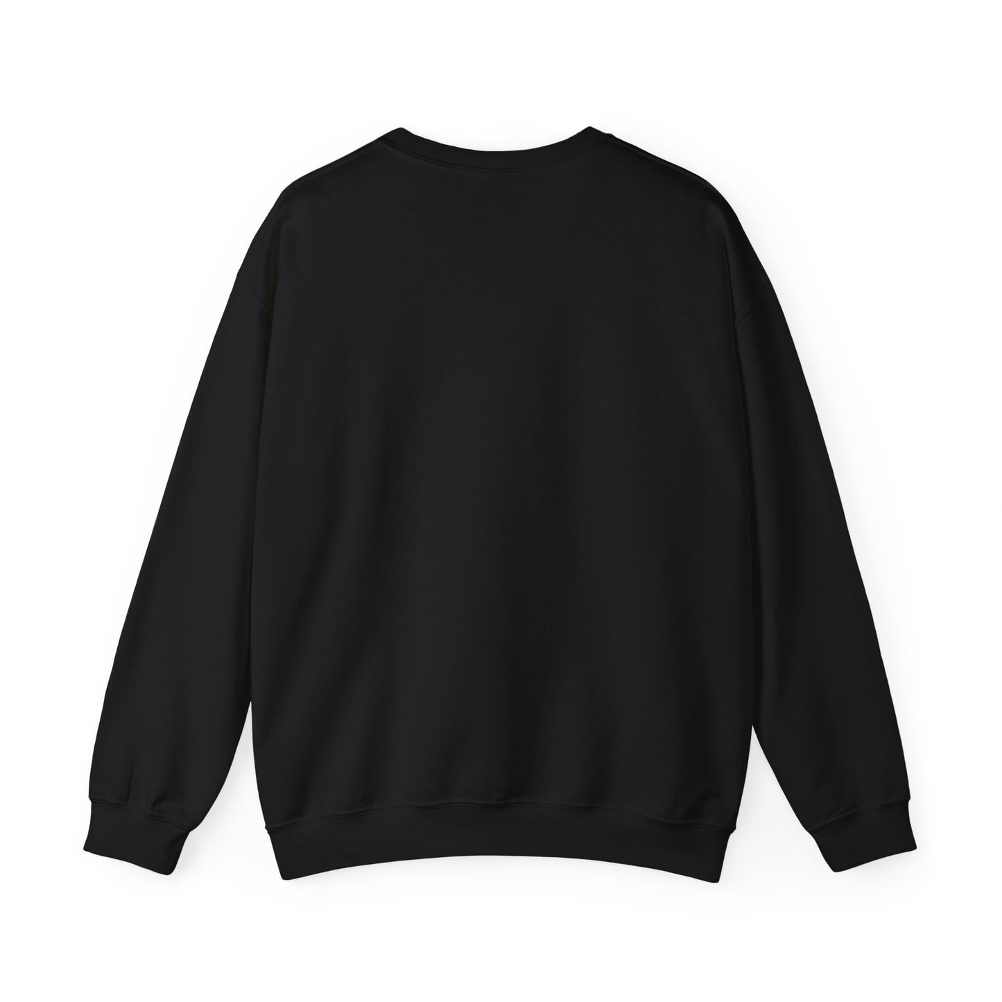 Kinitro Varsity Crewneck