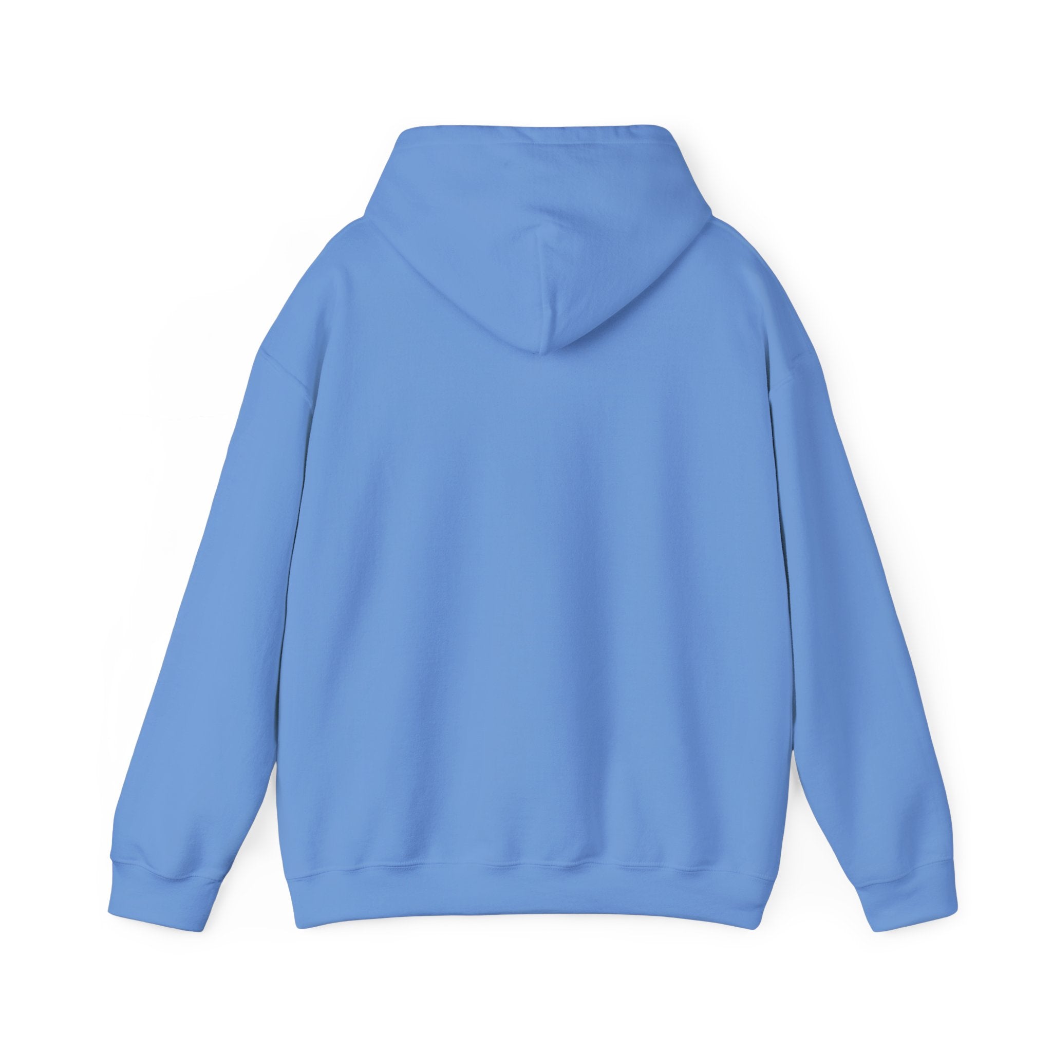 Kinitro Sword Hoodie