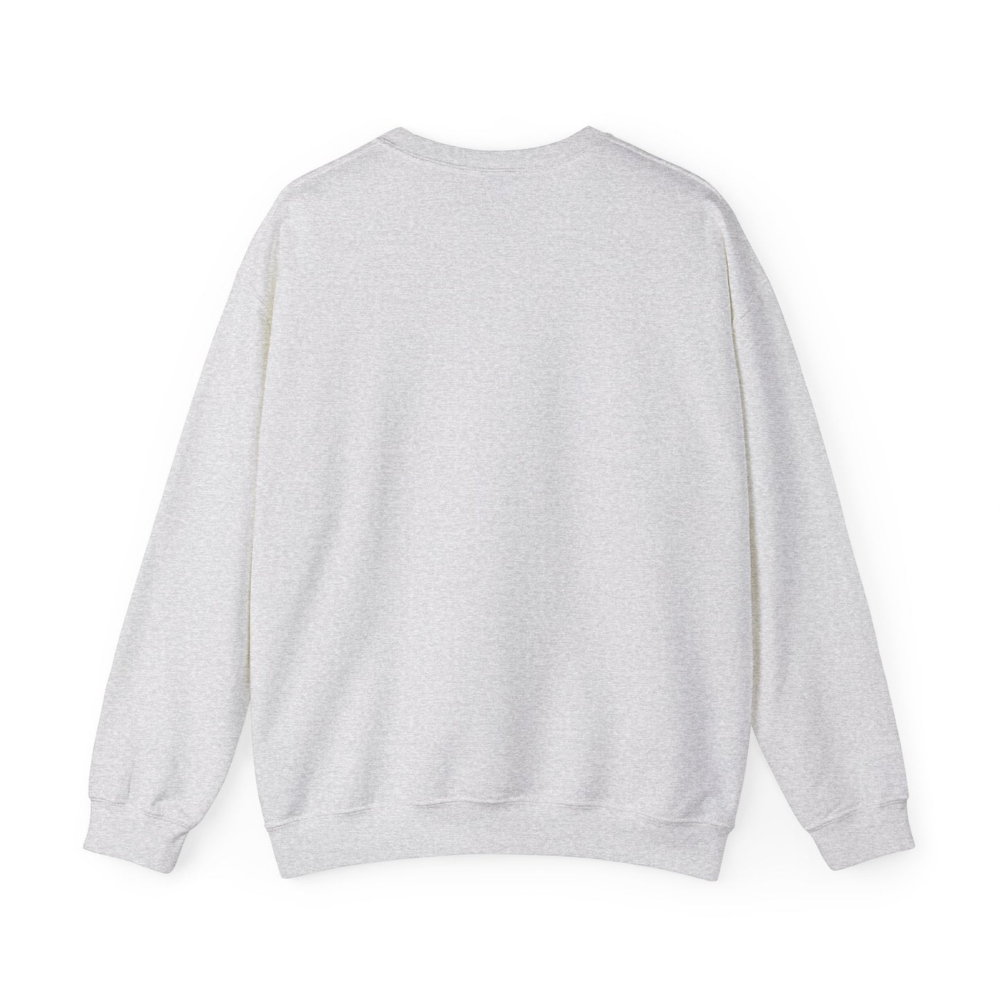 Kinitro Varsity Crewneck